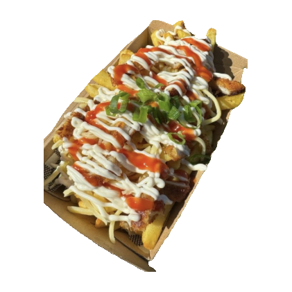 Loaded Fries